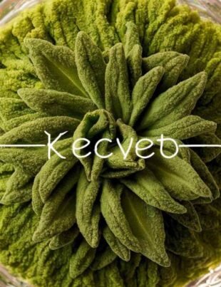 Kecveto